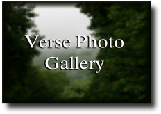 Verse Photo Gallery